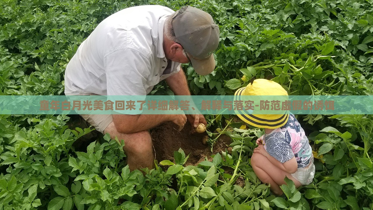 童年白月光美食回來(lái)了詳細(xì)解答、解釋與落實(shí)-防范虛假的誘餌 童年白月光美食回來(lái)了詳細(xì)解答、解釋與落實(shí)-防范虛假的誘餌