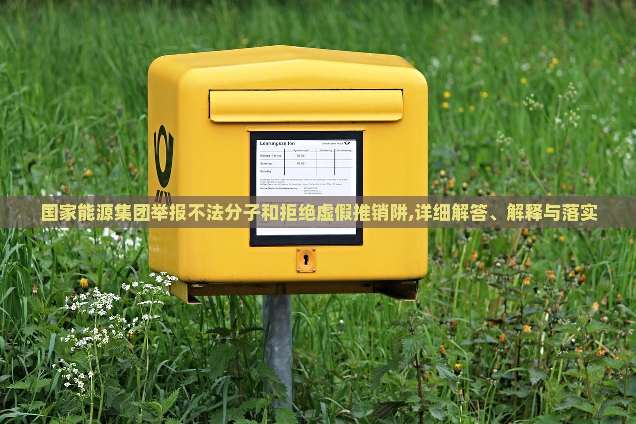 國(guó)家能源集團(tuán)舉報(bào)不法分子和拒絕虛假推銷阱,詳細(xì)解答、解釋與落實(shí)