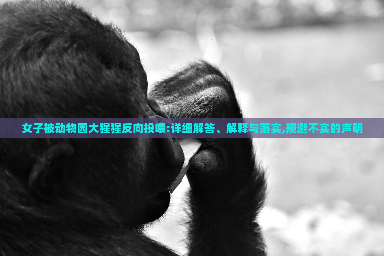 女子被動(dòng)物園大猩猩反向投喂:詳細(xì)解答、解釋與落實(shí),規(guī)避不實(shí)的聲明
