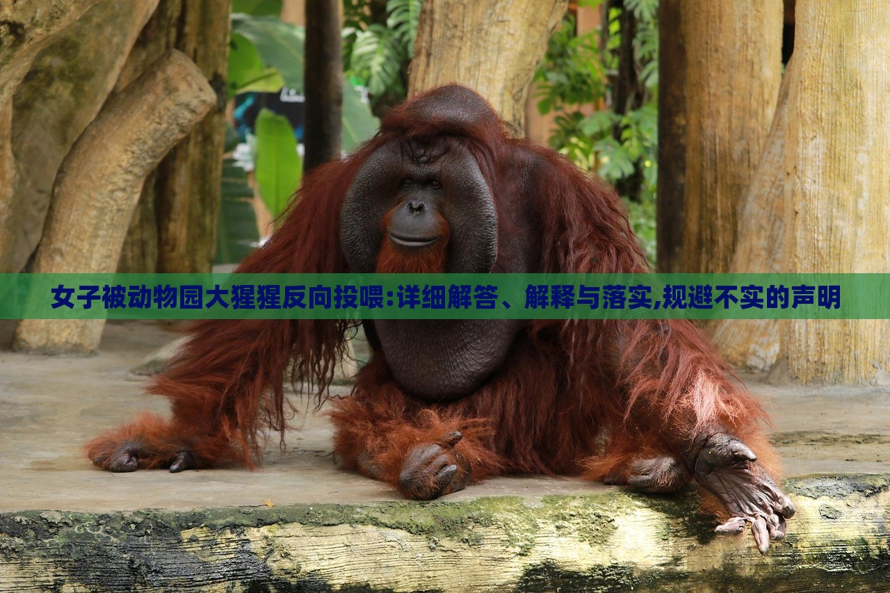 女子被動(dòng)物園大猩猩反向投喂:詳細(xì)解答、解釋與落實(shí),規(guī)避不實(shí)的聲明