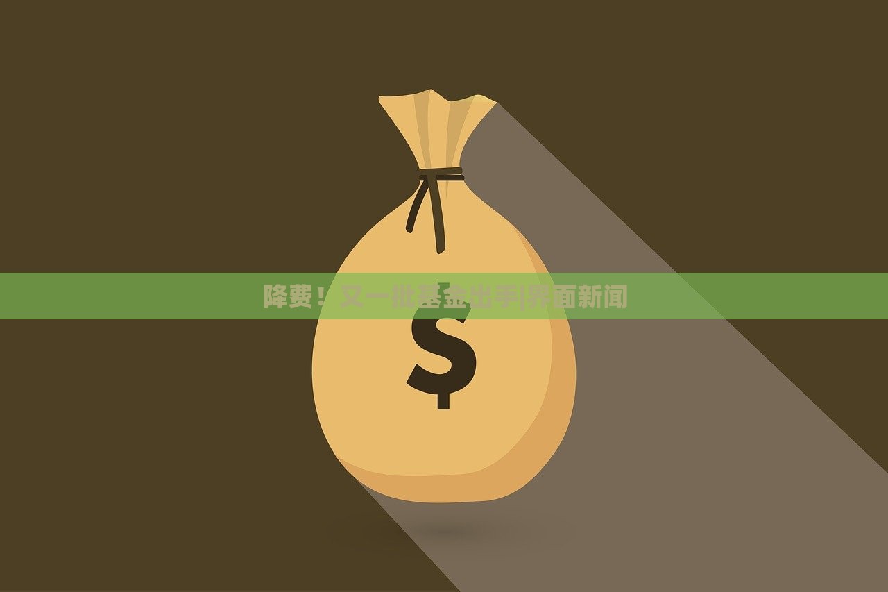 降費！又一批基金出手|界面新聞