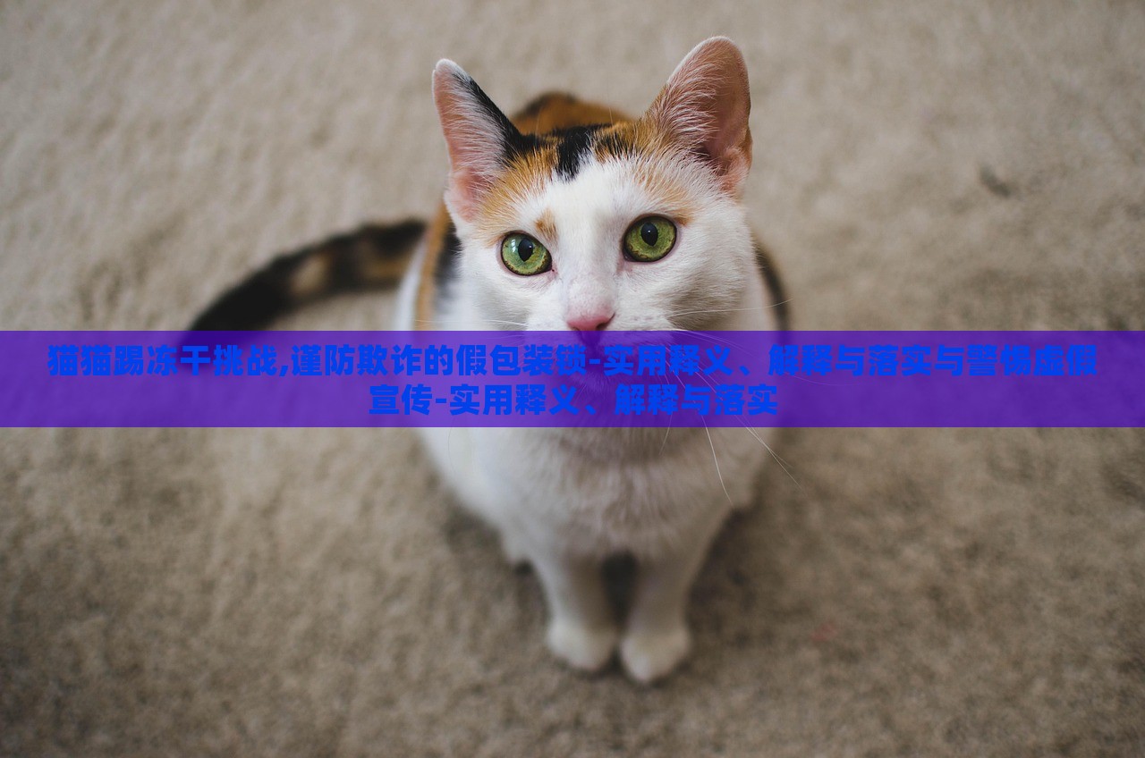 猫猫踢冻干挑战,谨防欺诈的假包装锁-实用释义、解释与落实与警惕虚假宣传-实用释义、解释与落实