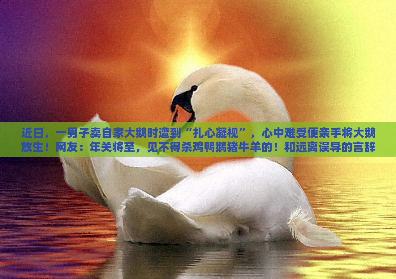 近日，一男子卖自家大鹅时遭到“扎心凝视”，心中难受便亲手将大鹅放生！网友：年关将至，见不得杀鸡鸭鹅猪牛羊的！和远离误导的言辞-全面释义、解释与落实与警惕虚假宣传-全面释义、解释与落实