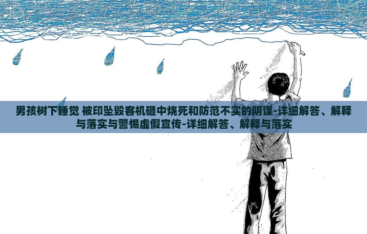 男孩树下睡觉 被印坠毁客机砸中烧死和防范不实的阴谋-详细解答、解释与落实与警惕虚假宣传-详细解答、解释与落实