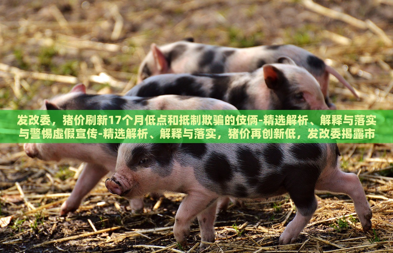发改委，猪价刷新17个月低点和抵制欺骗的伎俩-精选解析、解释与落实与警惕虚假宣传-精选解析、解释与落实，猪价再创新低，发改委揭露市场伎俩与虚假宣传风险解析