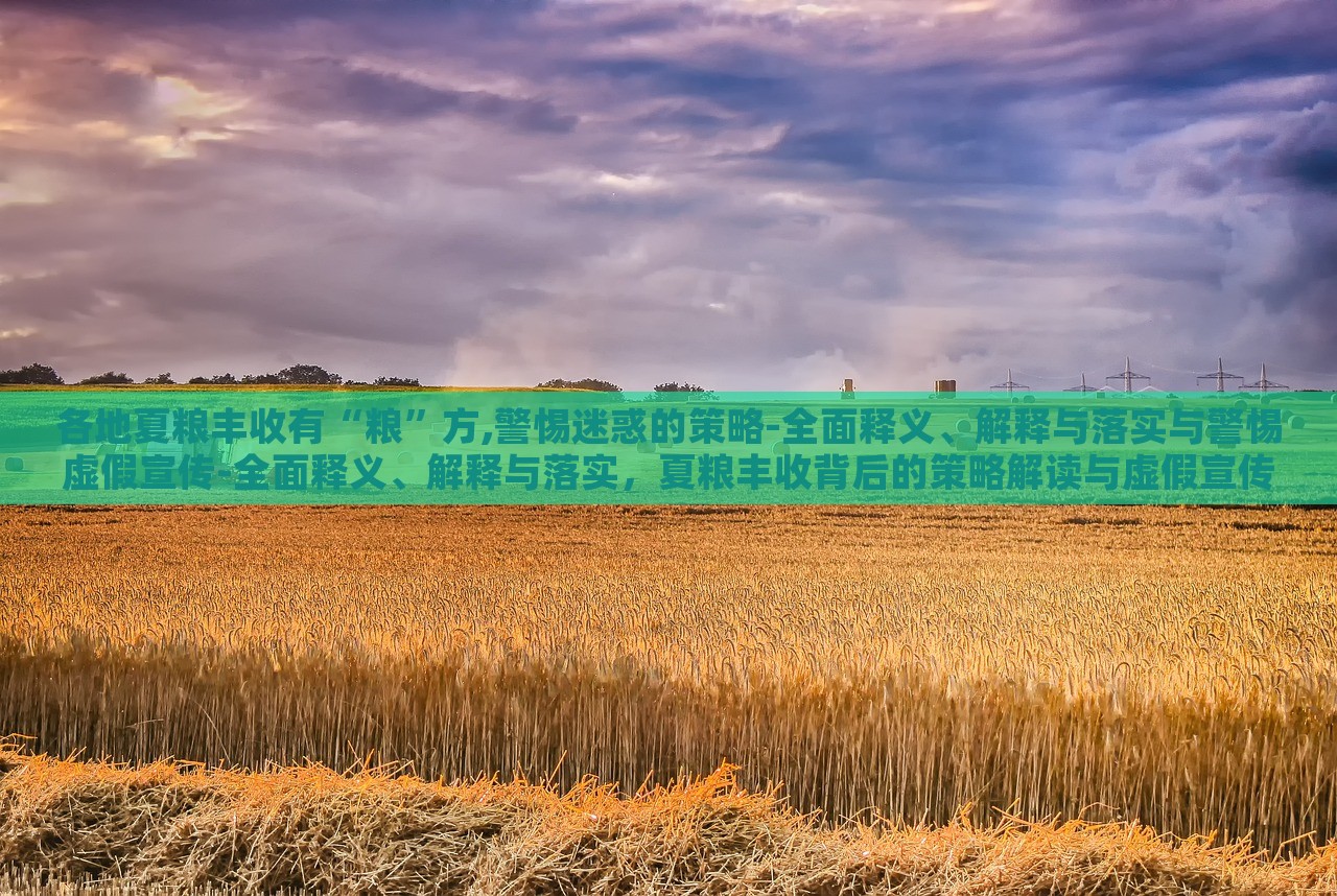 各地夏粮丰收有“粮”方,警惕迷惑的策略-全面释义、解释与落实与警惕虚假宣传-全面释义、解释与落实，夏粮丰收背后的策略解读与虚假宣传警示