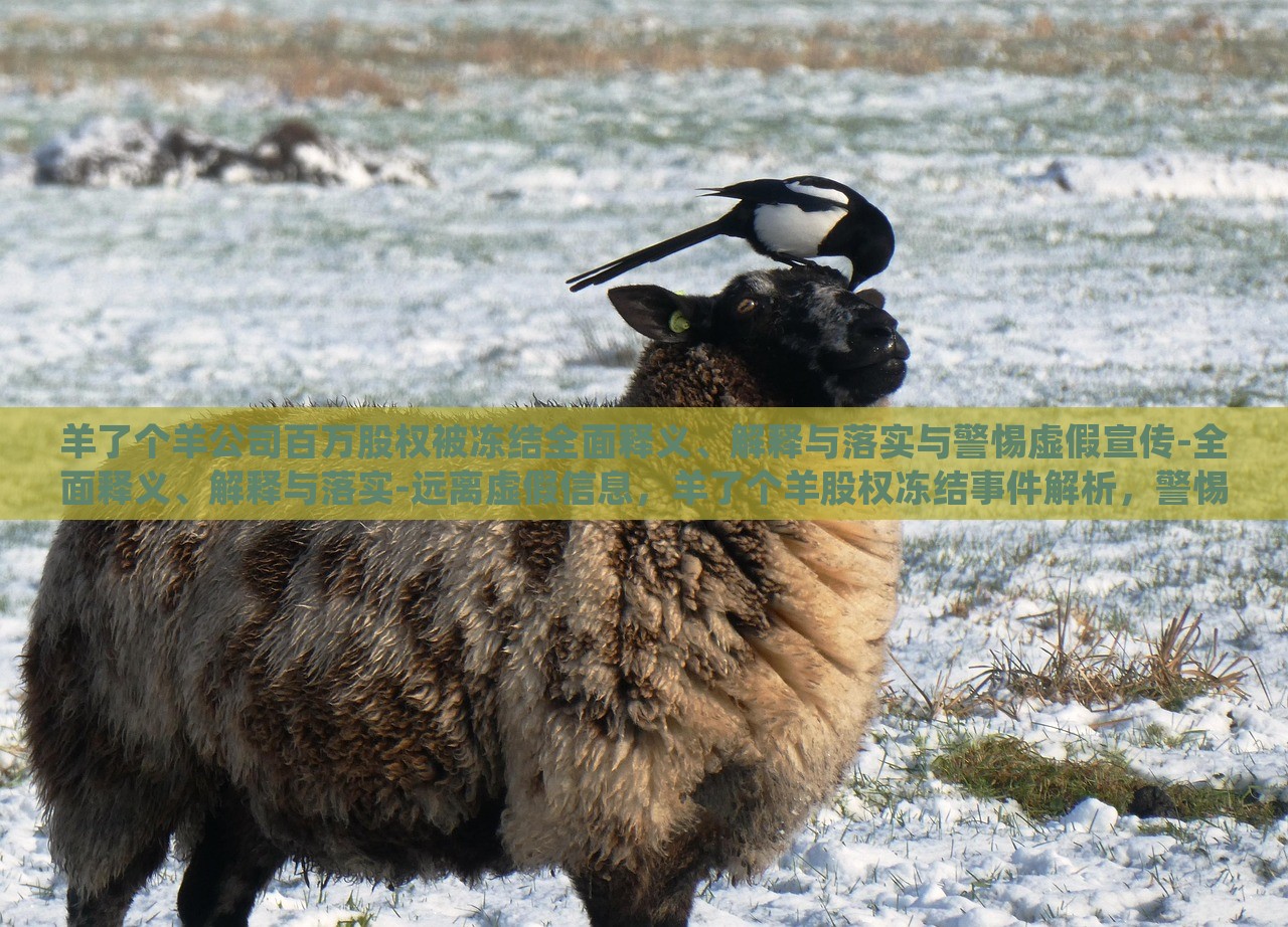 羊了个羊公司百万股权被冻结全面释义、解释与落实与警惕虚假宣传-全面释义、解释与落实-远离虚假信息，羊了个羊股权冻结事件解析，警惕虚假宣传风险