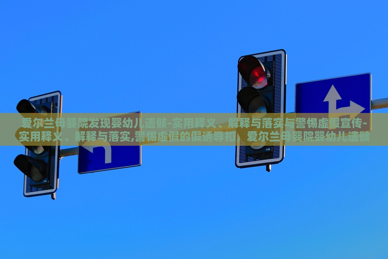 爱尔兰母婴院发现婴幼儿遗骸-实用释义、解释与落实与警惕虚假宣传-实用释义、解释与落实,警惕虚假的假诱导扣，爱尔兰母婴院婴幼儿遗骸事件，真相揭秘与虚假宣传警示
