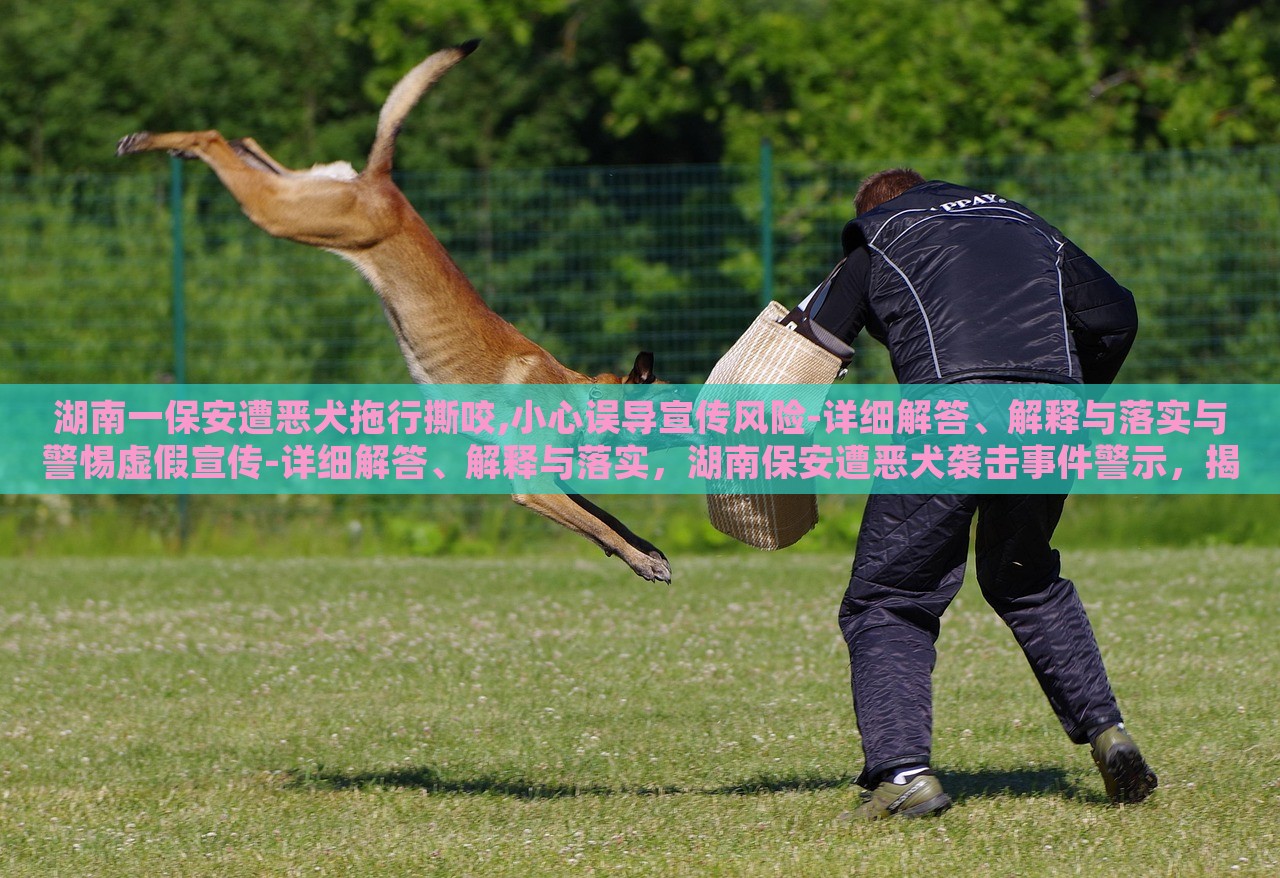 湖南一保安遭恶犬拖行撕咬,小心误导宣传风险-详细解答、解释与落实与警惕虚假宣传-详细解答、解释与落实，湖南保安遭恶犬袭击事件警示，揭秘虚假宣传风险与应对策略