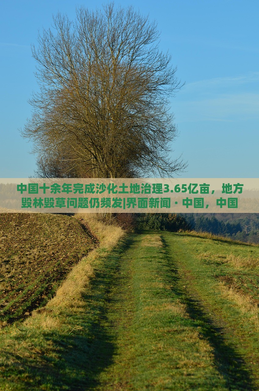 中国十余年完成沙化土地治理3.65亿亩，地方毁林毁草问题仍频发|界面新闻 · 中国，中国沙化土地治理成就显著，地方毁林毁草问题待解